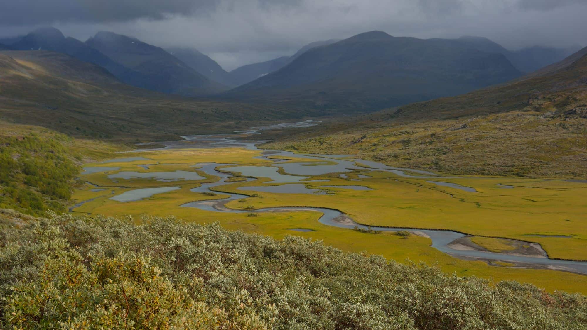 A braided river weaves through a wide alpine valley covered in green and yellow moss, with misty mountains rising in the background beneath heavy clouds.
