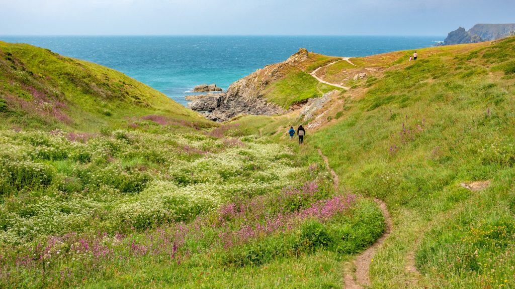 A narrow trail weaves through vibrant wildflowers and rolling green hills, leading toward rocky coastal cliffs and the turquoise ocean beyond.