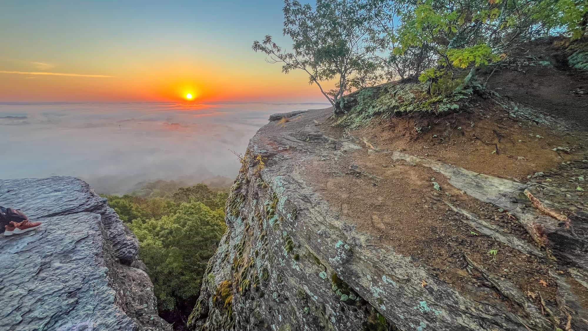 A glowing sunrise breaks over a mist-filled valley, seen from a rocky cliff edge lined with sparse trees and rugged terrain.