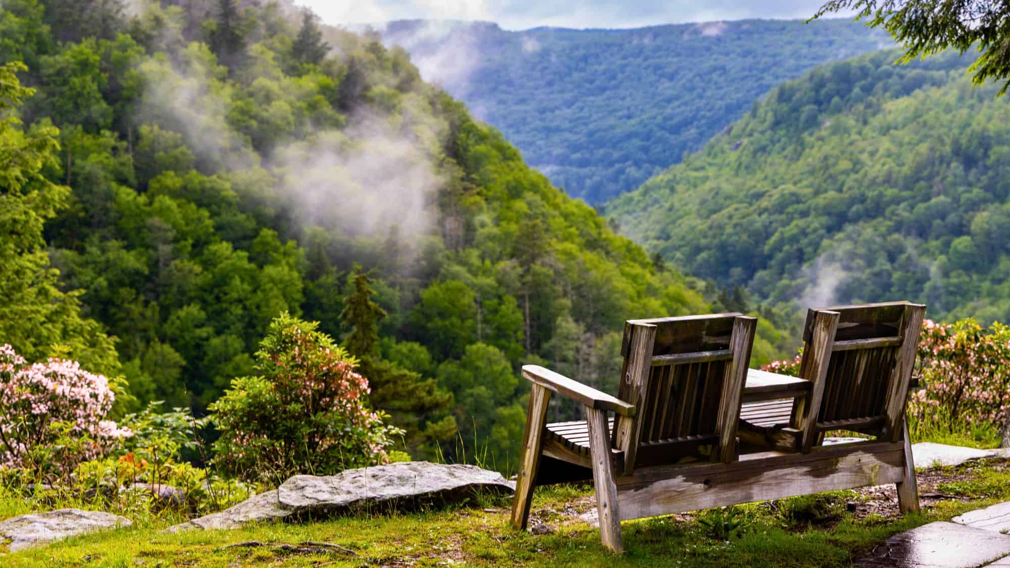 A peaceful wooden bench looks out across West Virginia’s lush Blackwater Canyon, where mist rises through thick green forests beneath distant ridgelines.