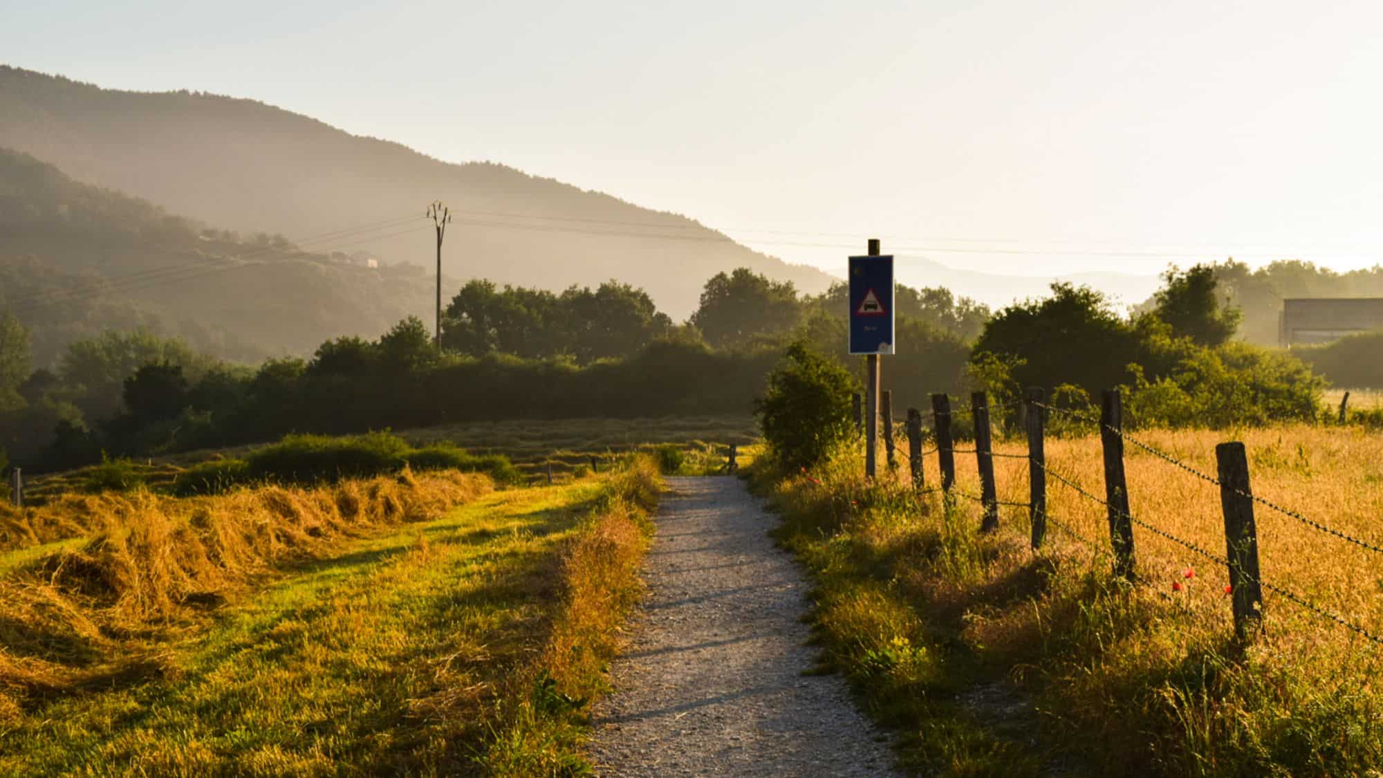 Early sunlight bathes the countryside in a warm glow, casting long shadows over a peaceful trail edged by fences and soft hills.