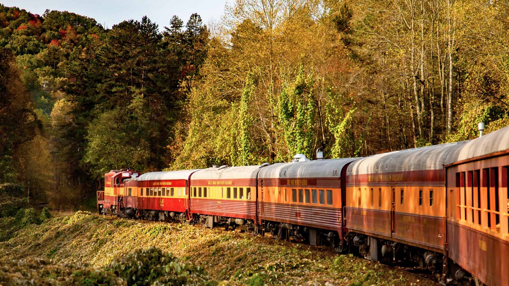 A vintage red and gold train winds through colorful Appalachian forests, surrounded by tall trees tinged with early autumn tones.
