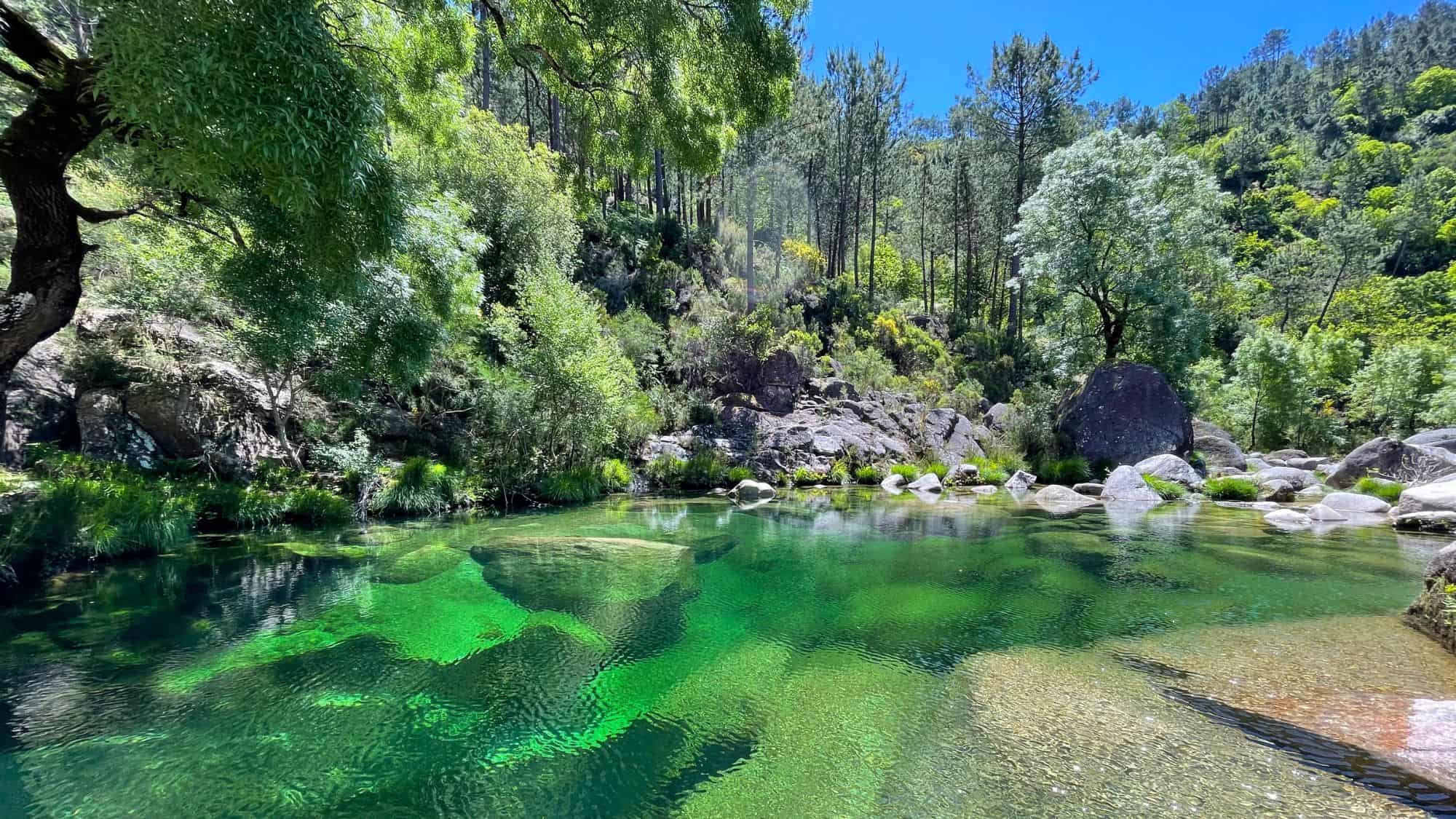 Crystal-clear green water flows between smooth rocks and lush forest in a serene mountain gorge bathed in sunlight.