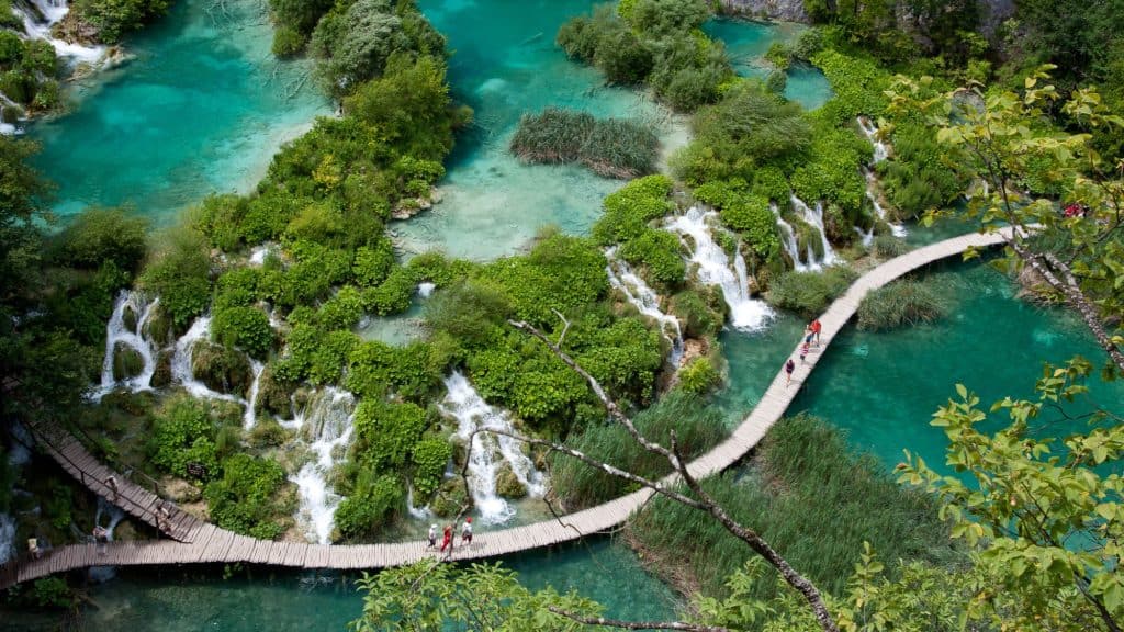 Wooden paths weave through emerald pools and lush greenery, where small cascades tumble through dense vegetation in a dreamy water-rich landscape.