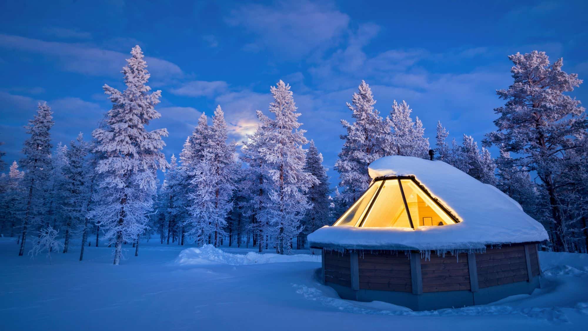 A warmly lit glass-roofed hut contrasts with the snowy forest around it during the blue hour.