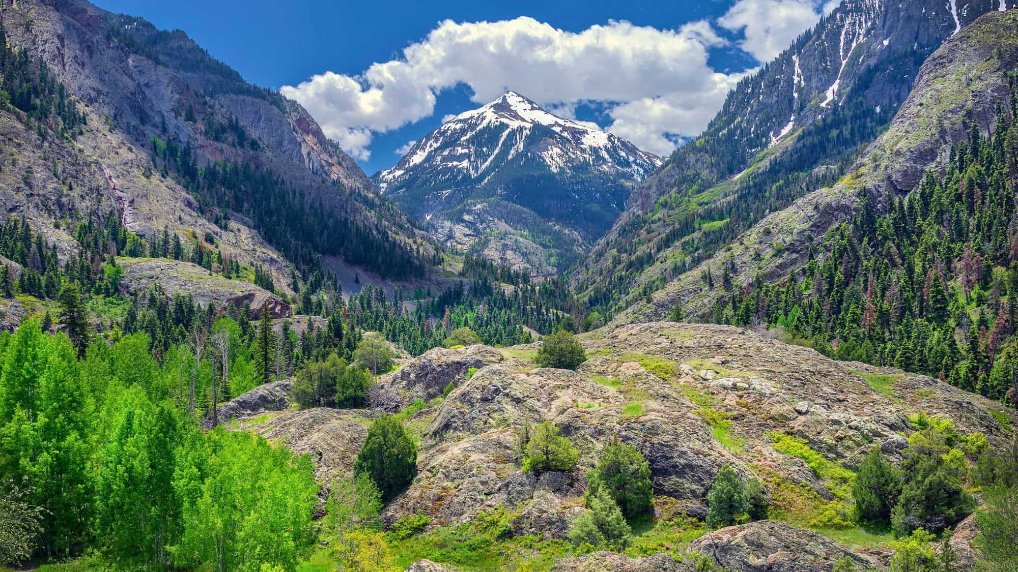 Jagged cliffs and forested slopes surround a rugged alpine valley, where vibrant green trees contrast against gray rock and distant snow-dusted peaks.