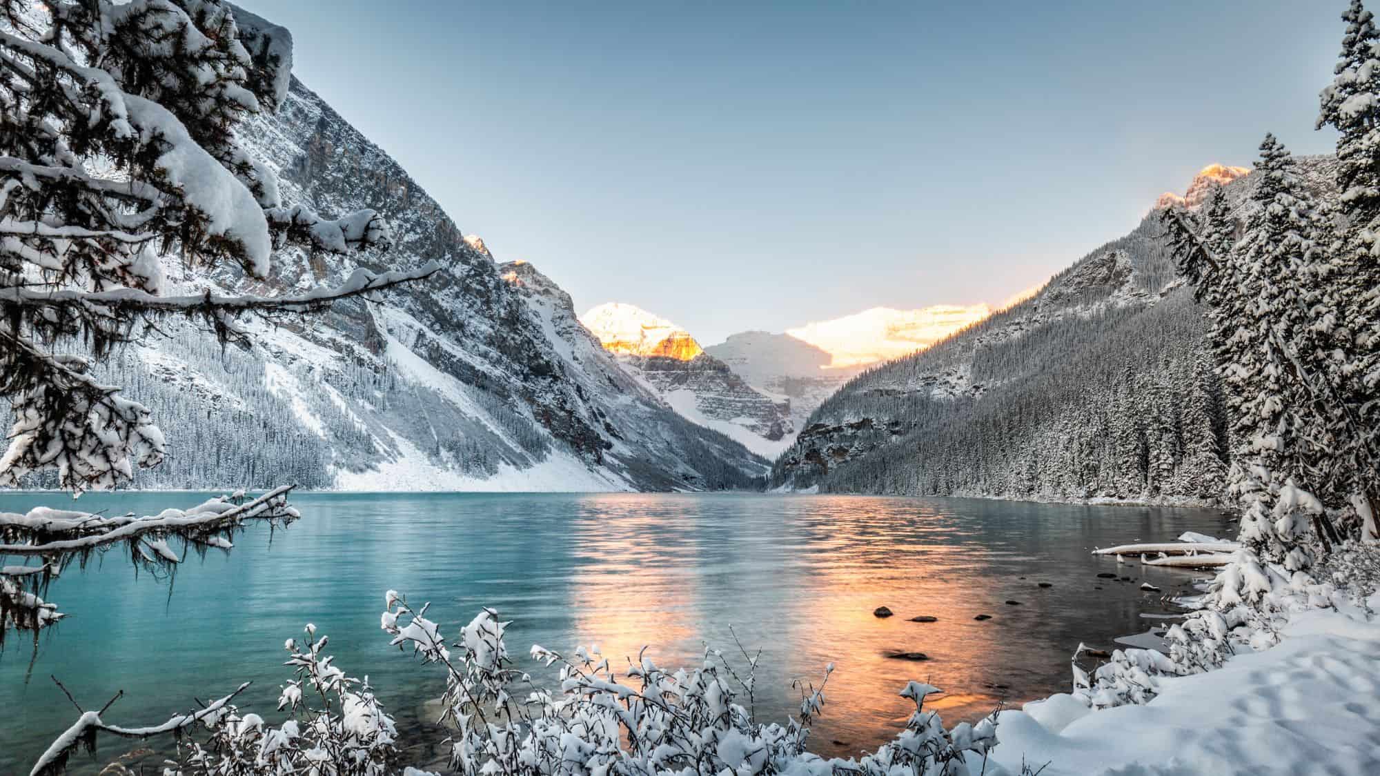 Turquoise waters of Lake Louise mirror the snowy peaks and sunrise-lit mountains, framed by snow-covered pines and frosted branches.