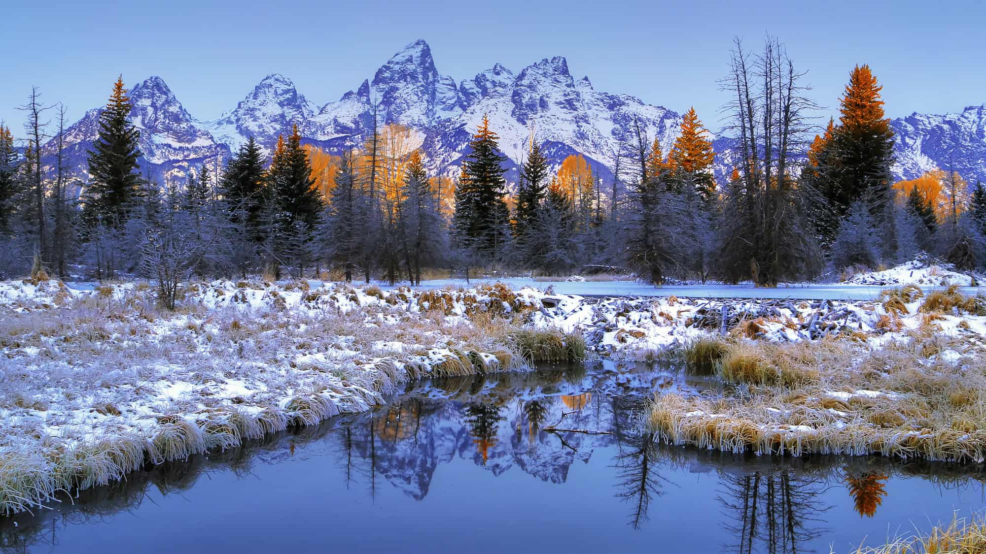 Snow-covered peaks reflect in a still stream, with golden light touching the treetops beneath the jagged Grand Teton range.