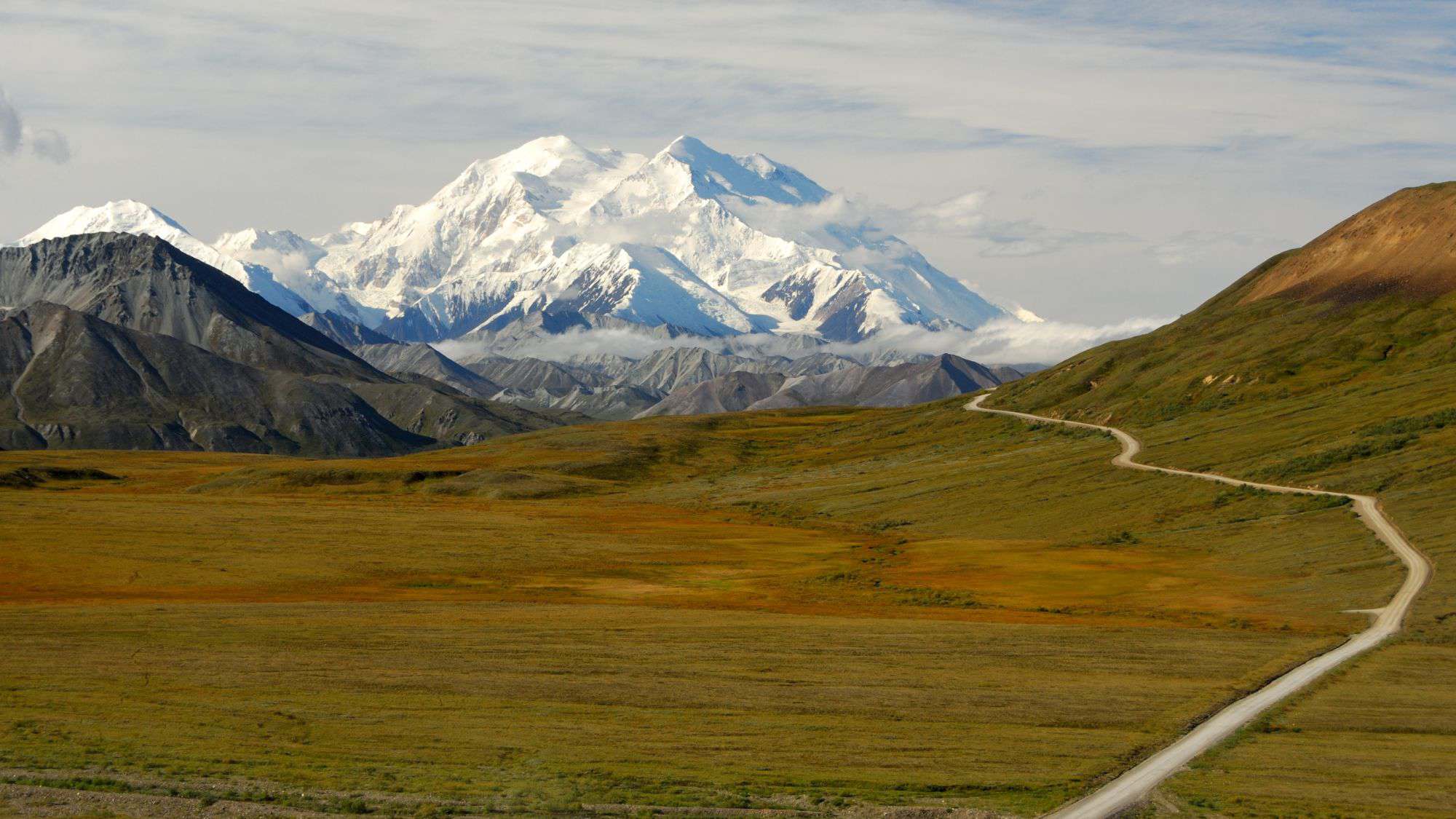 Mount Denali/McKinley stands in the the background as a road and grassy field lead to it in the distance.