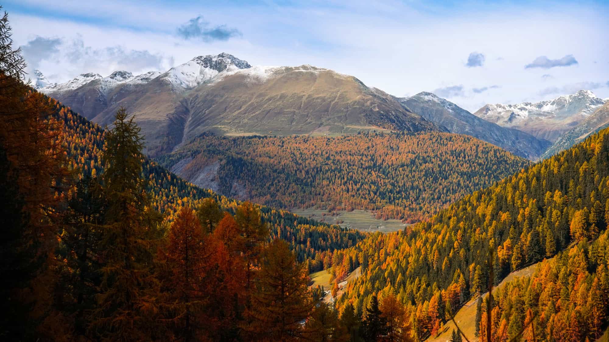 Bright fall foliage blankets the forested valleys between rugged, snow-dusted alpine peaks under a blue sky streaked with light clouds.