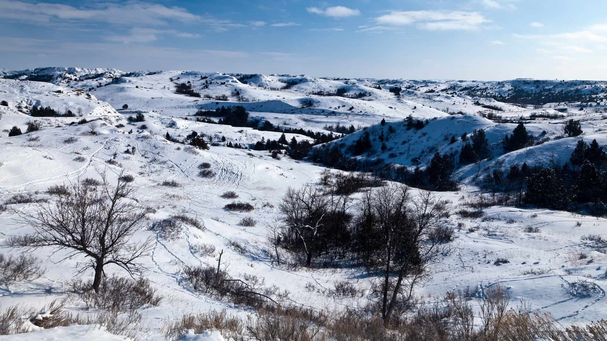 Rolling badlands blanketed in snow stretch into the distance under a crisp blue sky, dotted with scattered trees and brush.
