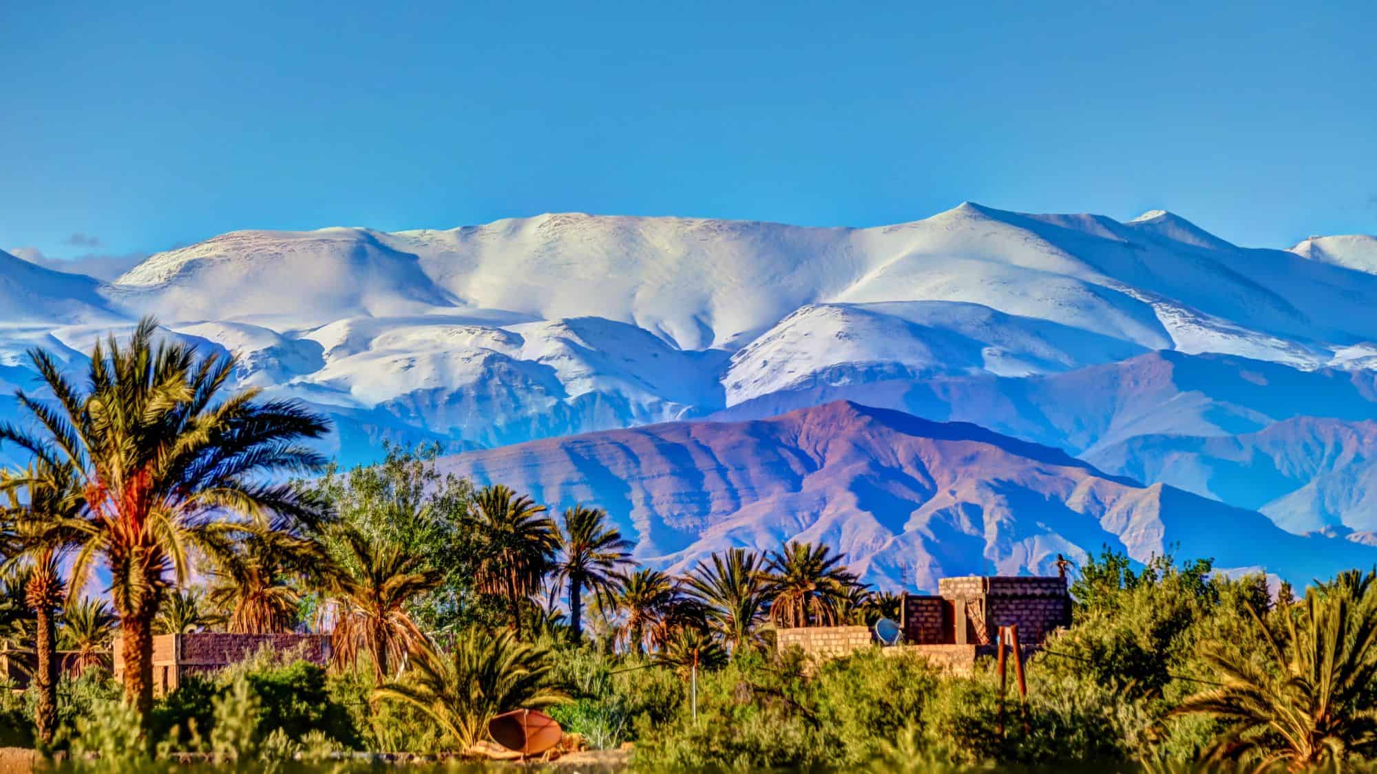 A palm-dotted oasis spreads across the foreground while the snow-capped High Atlas Mountains rise in layers of blue and purple beyond a desert village.